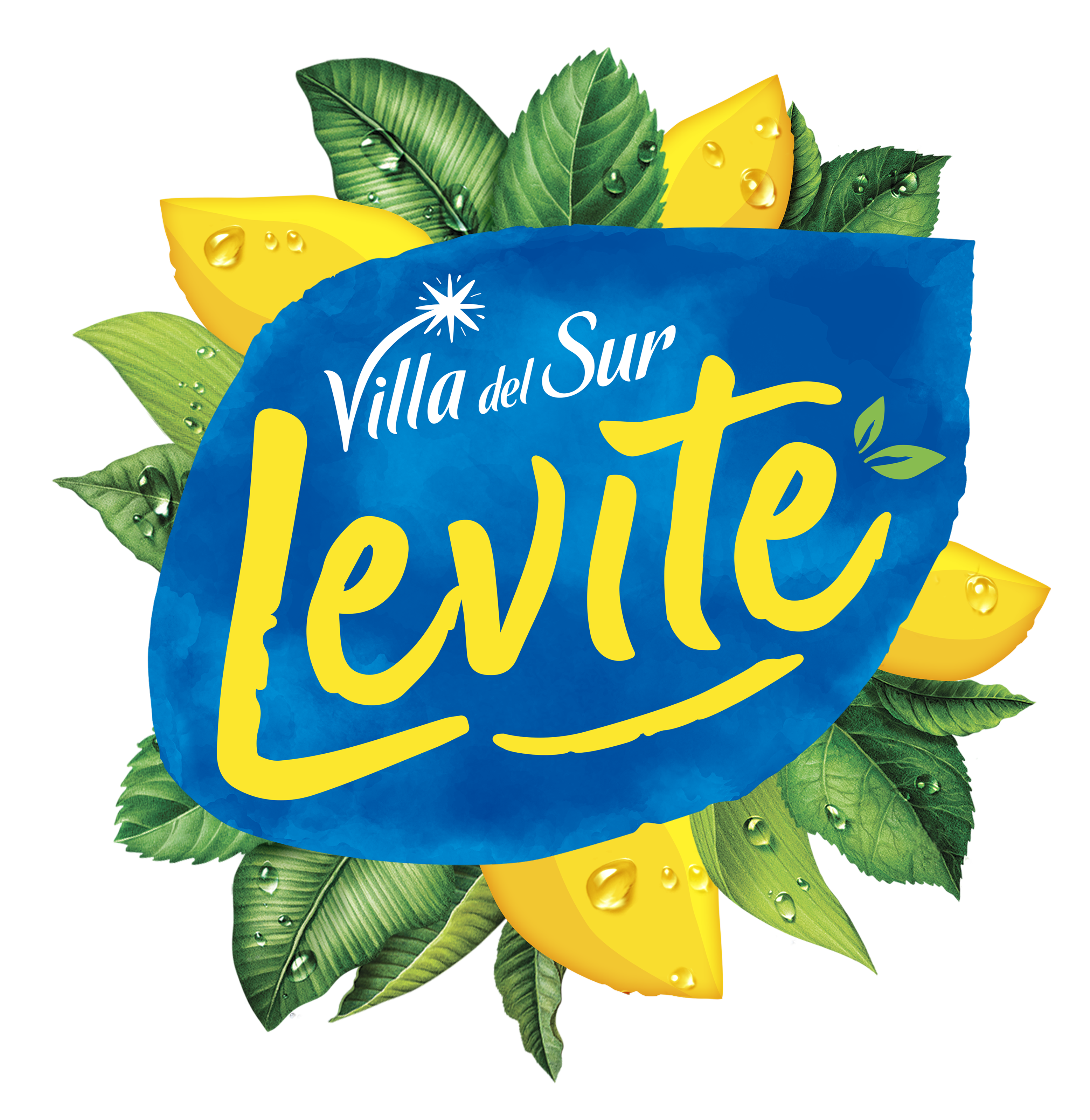 levite.png